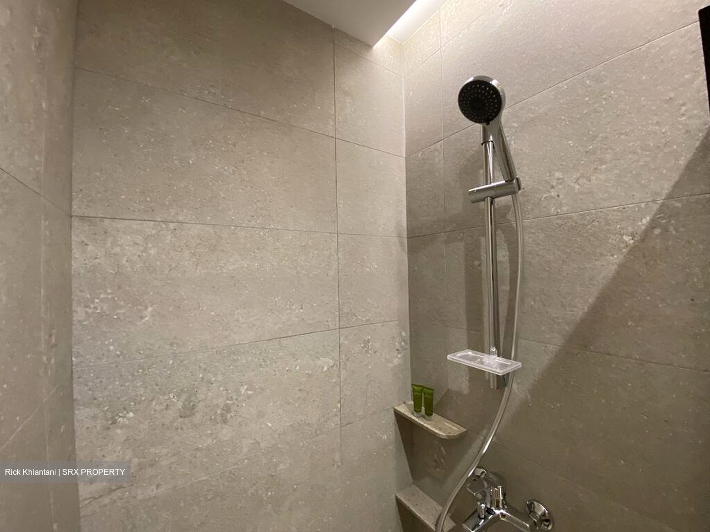 Mount Elizabeth Link (D9), Apartment #584030791